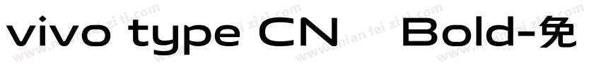vivo type CN简 Bold字体转换